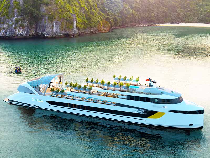 dolphin-cruise